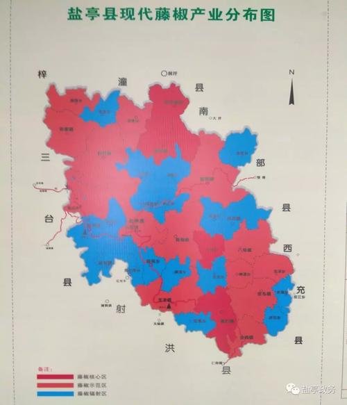 好势头!盐亭藤椒产业蓬勃发展!