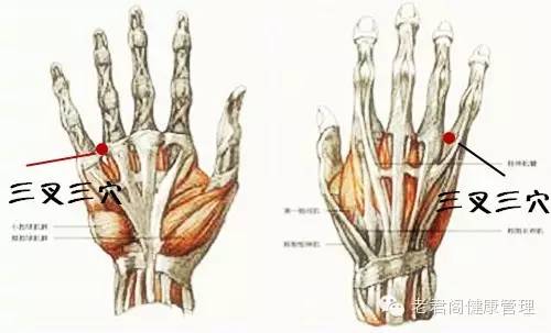 [转载]神奇三叉三穴
