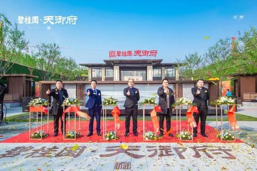 平舆碧桂园·天御府示范区开放都这么火!