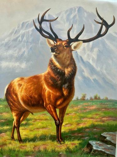 《雄鹿》75x100