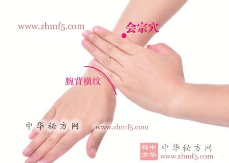 会宗穴位位置图_按摩会宗穴的作用与好处 - 胳膊手部