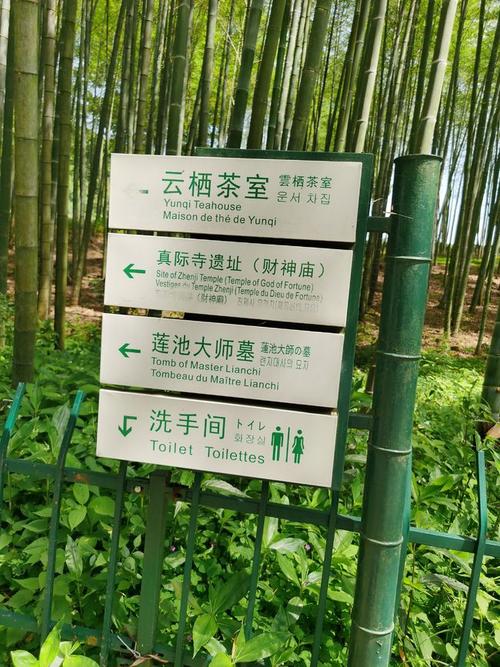 杭州云栖竹径杭州幽静的打卡点攻略