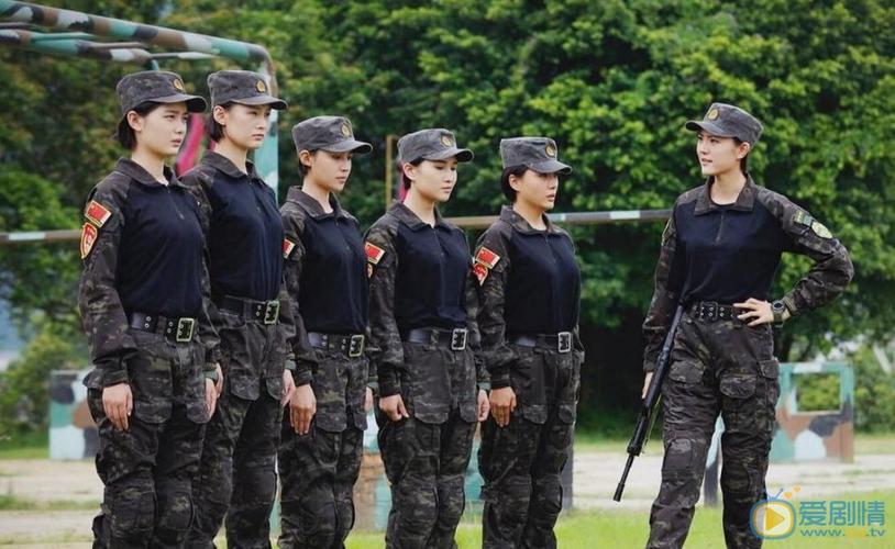 利刃出击分集剧情介绍