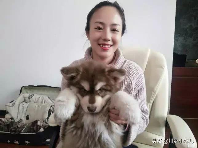 如果你关注了川乡小妹儿,你就会发现: 这个四川姑娘真的太爱笑了.