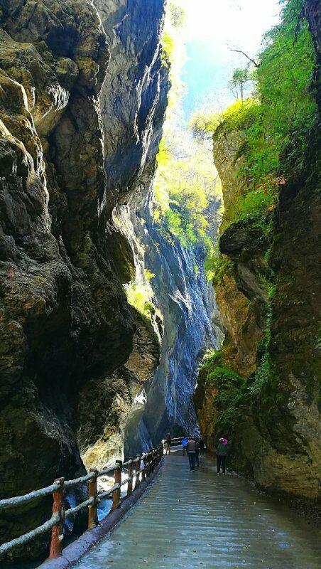 甘肃陇南宕昌官鹅沟.嫚鹅沟(五)