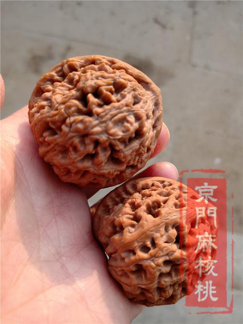 水龙纹狮子头,一款以纹路命名的核桃属于老品种的核桃
