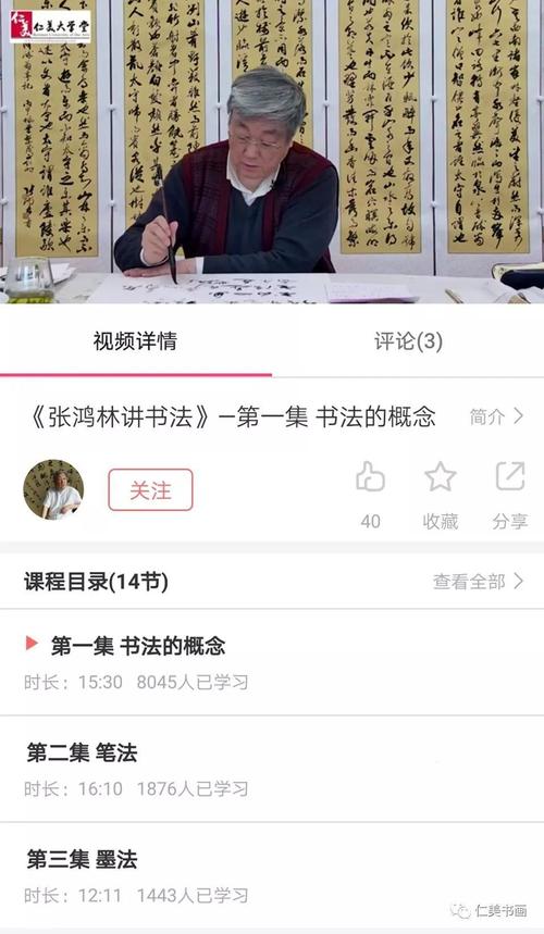 植根传统,妙笔出新——听张鸿林先生谈书法