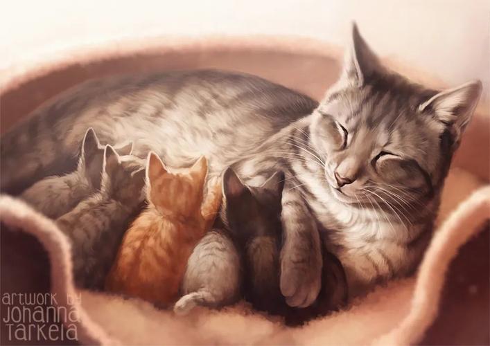 这张母爱爆棚啊,但怎么有只小黄猫