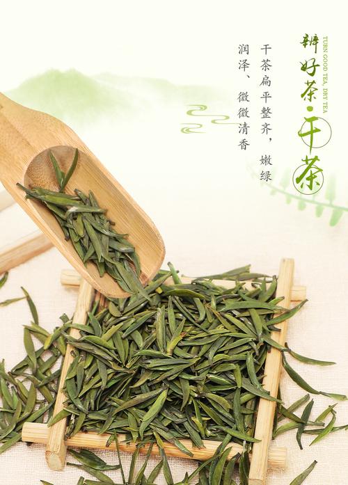 2020四川春茶蒙雨春竹蒙顶山雅安茶叶春竹