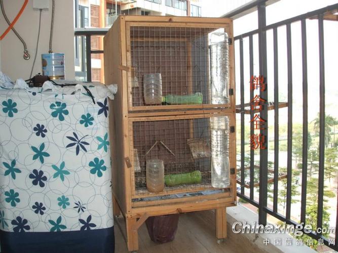 再造阳台迷你鸽舍图集