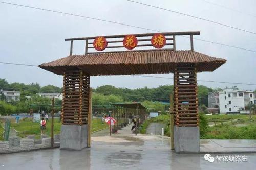 上午9:30,到达赣县江口荷花塘农庄,愉快的乡村一日游开始了