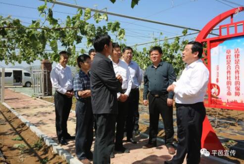 平邑县委书记包华到地方镇铜石镇调研指导冰雹灾害抗灾救灾工作