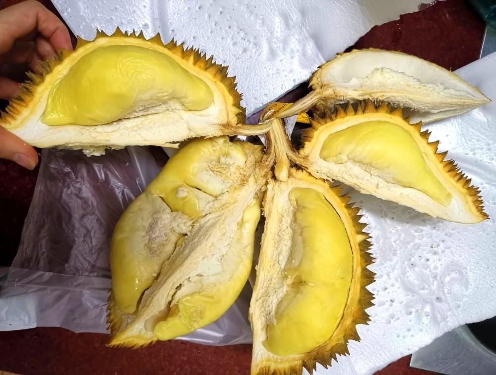 大家都在晒最近开的榴莲这出肉率我怀疑榴莲是来报恩的