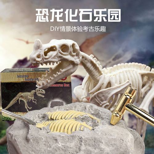 挖掘考古地摊化石骨架拼装恐龙玩具