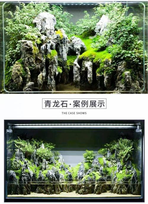 青龙石 微景观 酸洗鱼缸造景石头 水族小造景石素材