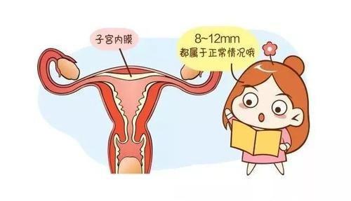 子宫内膜增生的鉴别诊断