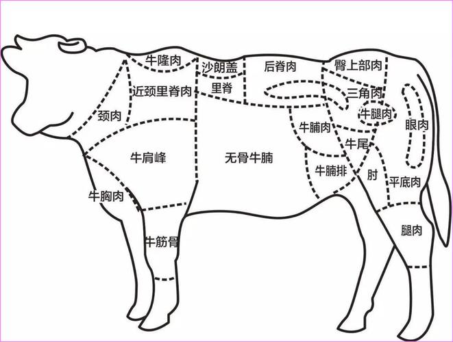 西方餐厅牛肉的部位分割状况和名称图,提供给大家参考.