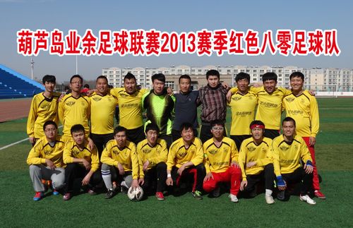 登录查看大图; 葫芦岛业余足球联赛2013赛季16支队伍大集合; 足球岛