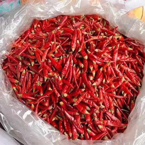 小米辣干辣椒现货散装500g四川特产特辣满天星七星椒朝天辣椒粉