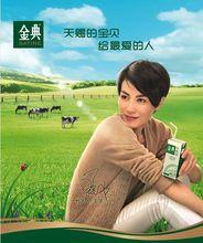 金典代言人王菲