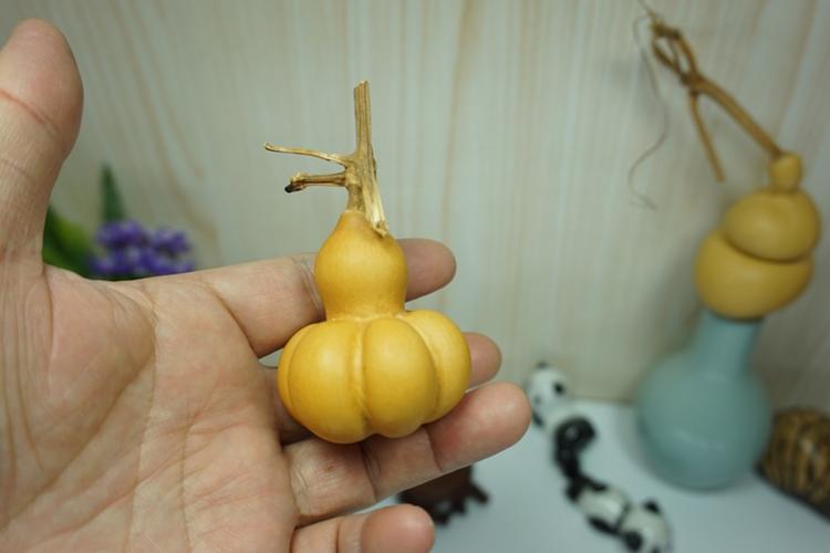 山东聊城葫芦破口钱袋子葫芦(五年以上料)