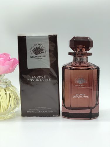 生命之光 男士香水 爱德华皮诺 梦想飞翔 100ml