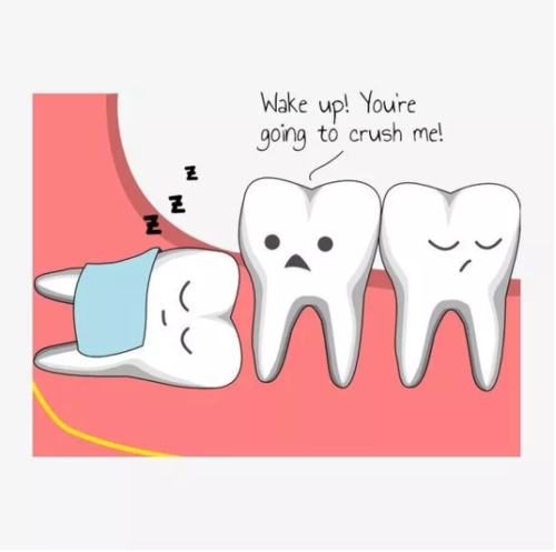 它逆流而上,不屈不挠,坚韧挺拔   智齿那么可爱,为什么要拔掉呢 那