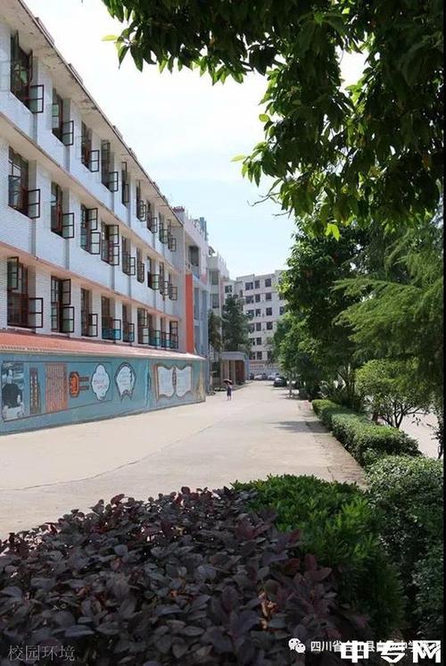 教育要闻 要闻资讯 > 正文     合江县白沙中学始建于1958年,1982年经