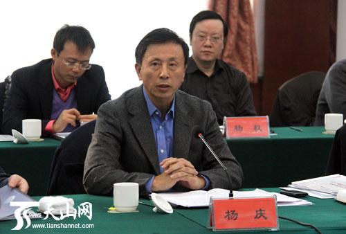 国家电网公司党组成员,副总经理杨庆出席会议并讲话