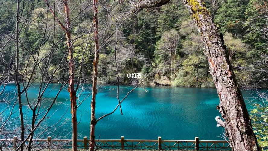 九寨沟_景点_九寨沟风景区攻略_长海攻略_摄影_长海_出行_人文风光