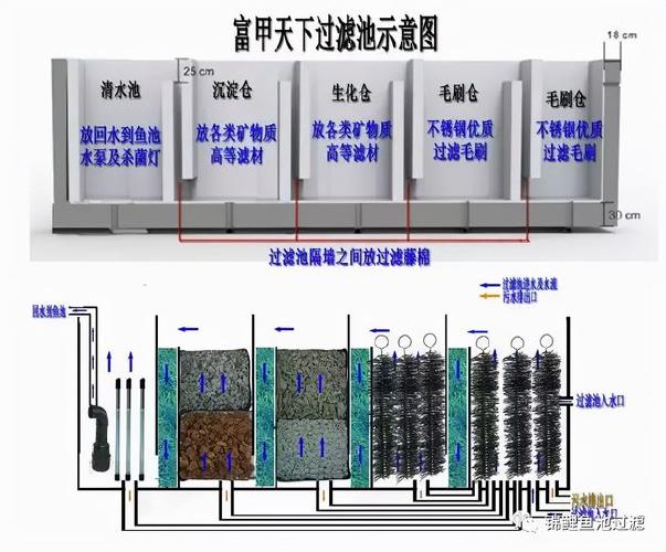 锦鲤鱼池想做好过滤系统,选好过滤材料是第一步