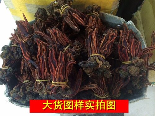 回春草 野生 选装货 不老草 草苁蓉 顶天柱 壮阳草