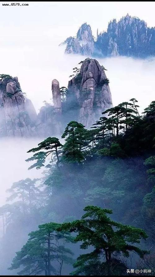 美丽风景各地有,各地美景皆不同,大景小园遍天下,最美黄山迎客松.
