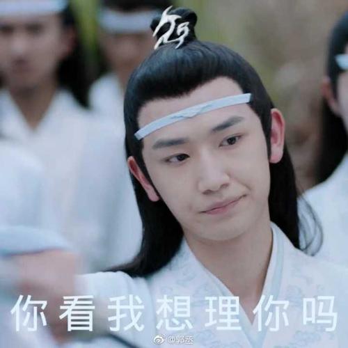 可以分享一下关于《陈情令》的无水印表情包吗?
