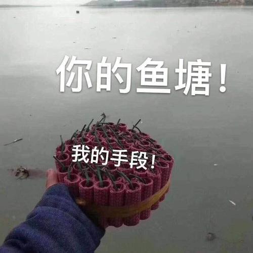 你的鱼塘我的手段鞭炮鱼塘鞭炮手段表情
