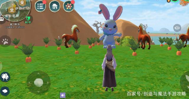 创造与魔法 胡萝卜哪里多?胡萝卜分布位置图解