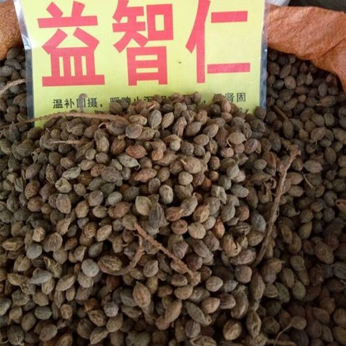 批发中药材 优质益智仁 益智子 各种香料供应