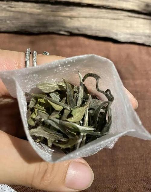 荷花全身都是宝,怎么吃都好吃,夏天清热又败火!