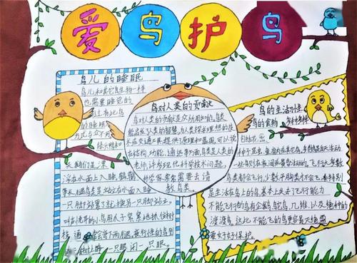 爱鸟周我用画笔爱鸟护鸟优秀作品开始投票啦
