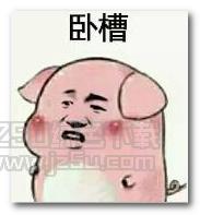 抖音傲娇生气变猪表情包 高清版