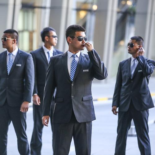 海豹御盾保镖公司