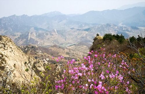 环穿义县老爷岭～赏花美拍