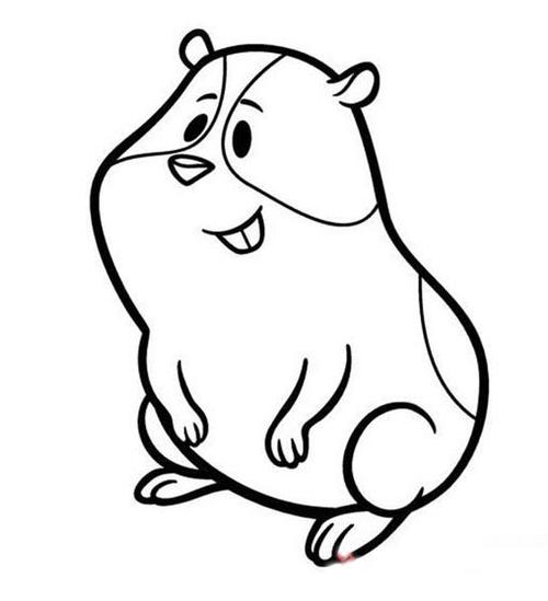 卡通豚鼠简笔画图片大全