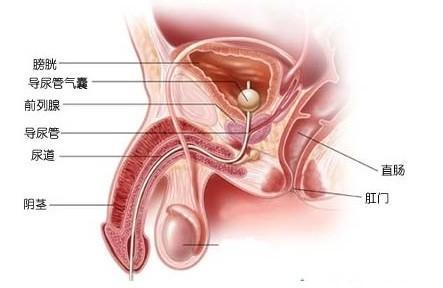 尿道瘙痒是怎么回事?_深圳永恒男科医院