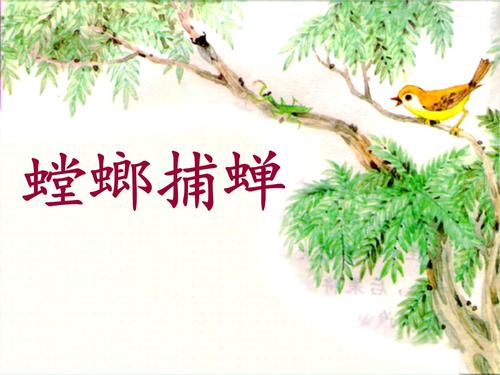 小学六年级语文下册《螳螂捕蝉》参考课件(苏教版).