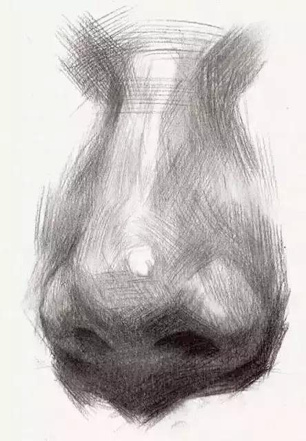 素描鼻子的绘画技法和步骤