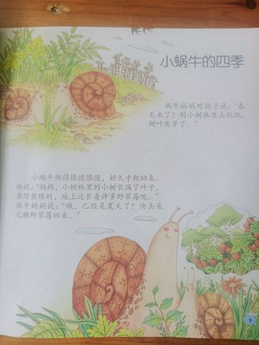 故事《小蜗牛的四季》