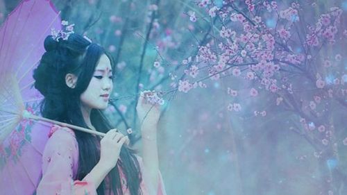 梅花泪文希歌曲伴奏舞台背景配乐成品le