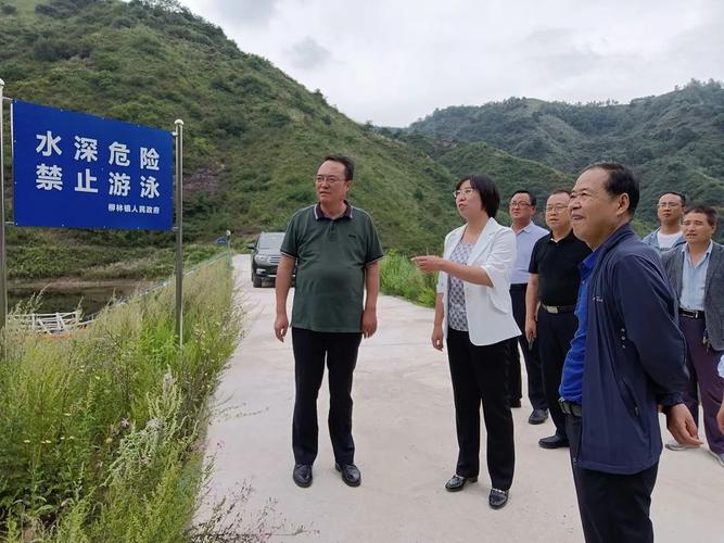凤翔区委副书记彭世忠深入柳林镇调研重点工作