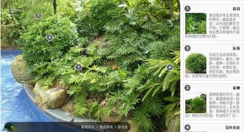 植物设计本质100款植物配置案例集锦